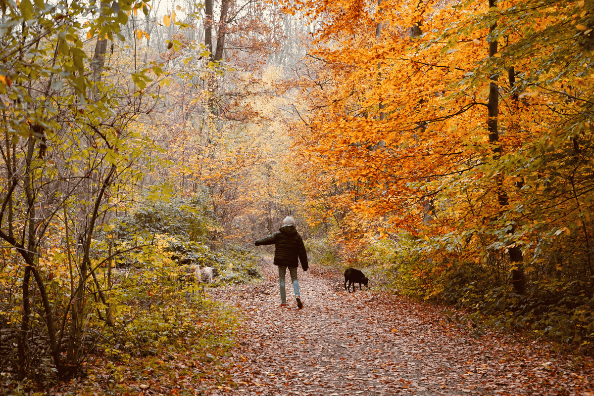 How Your Feet Affect Balance – And Why Falls Prevention Should Start Before You Fall